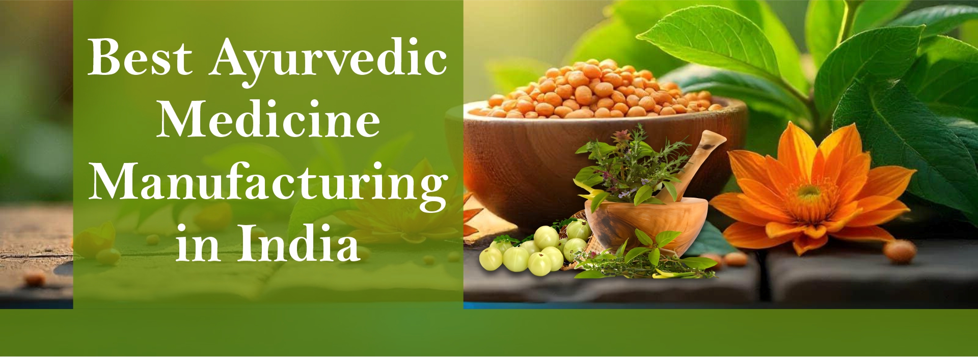 WEBSITE HOME PAGE BANNER 1