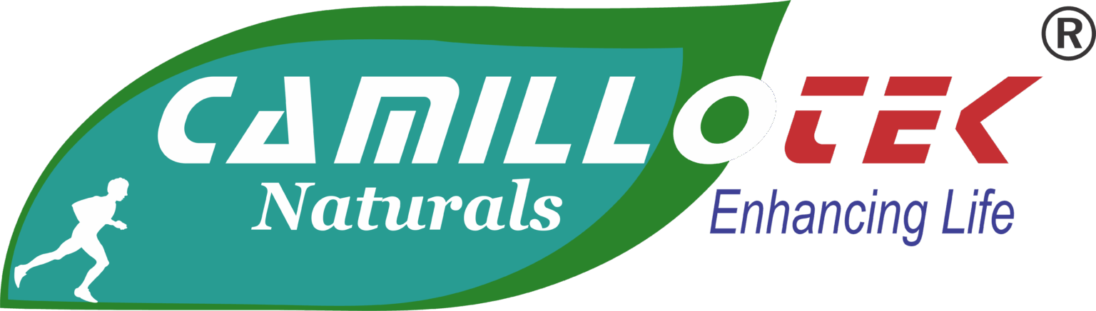 Camillotek India Pvt. Ltd.